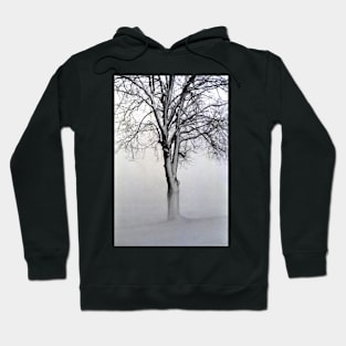 The Winter Tree Hoodie